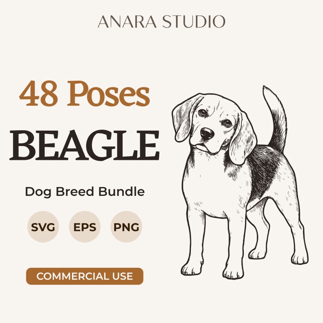 48 Beagle poses bundle cover