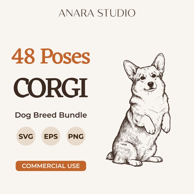 48 Corgi poses bundle cover