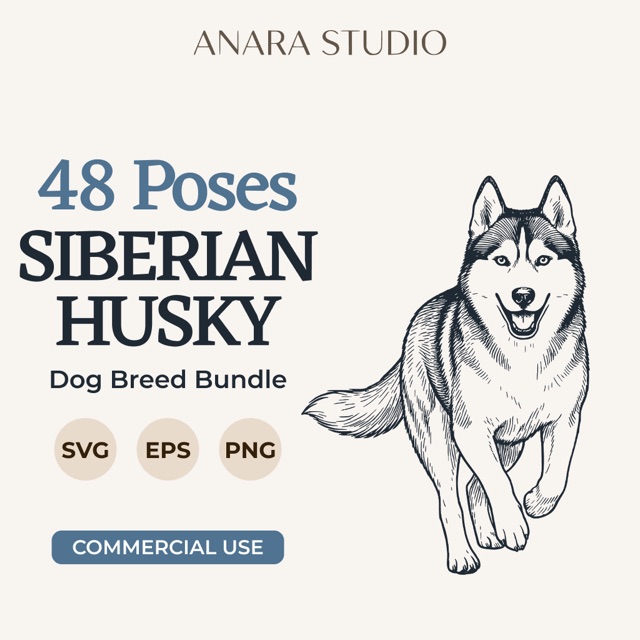 48 Siberian Husky poses bundle cover